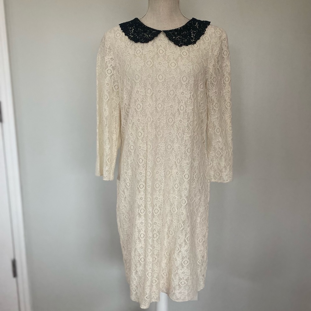 Chelsea & Violet Cream Lace Long Sleeve Sheath Dress w Black Lace Collar